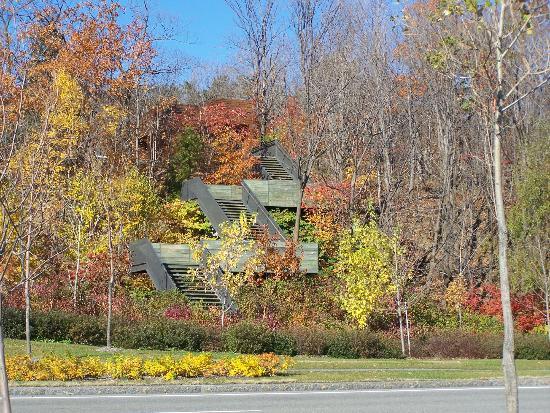 Le Boise de Tequenonday